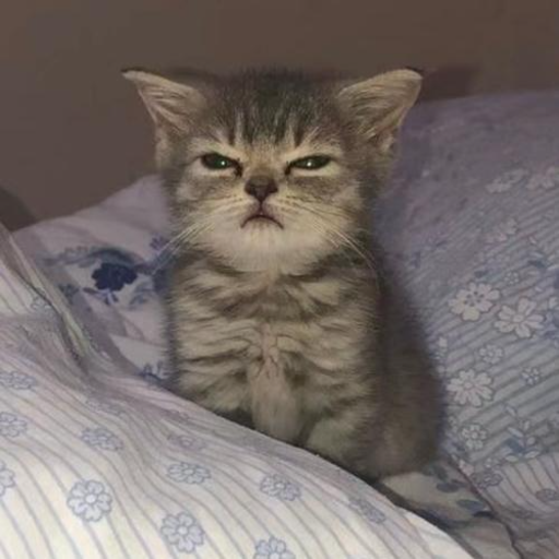 模糊图片变清晰-原图